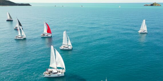 NAVIGUEZ VOILE NEUVE ETE 2025